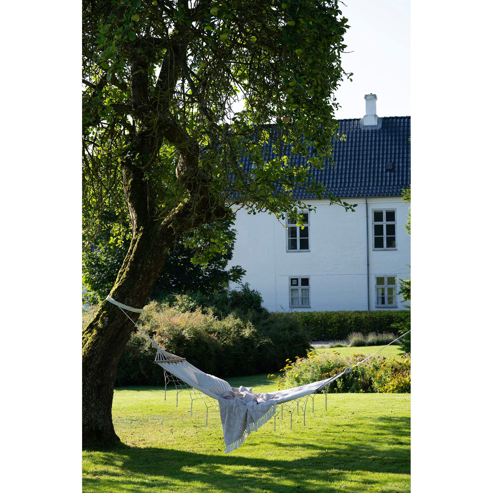 Edessa Hammock - Hammock, polyester/cotton, larch, off white