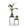 Zwart / Mangohout / Voor 17.00 besteld, morgen in huis