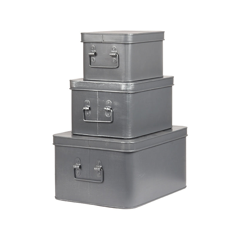 LABEL51 Media Opbergkist - Grijs - Metaal - L